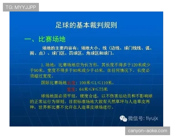 裁判职责详解：足球比赛中判罚与规则执行的关键标准